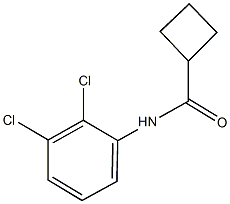 N-(2,3-dichlorophenyl)cyclobutanecarboxamide Struktur