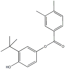 3-tert-butyl-4-hydroxyphenyl3,4-dimethylbenzoate 化学構造式