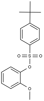 2-methoxyphenyl 4-tert-butylbenzenesulfonate 化学構造式