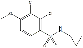 2,3-dichloro-N-cyclopropyl-4-methoxybenzenesulfonamide Structure