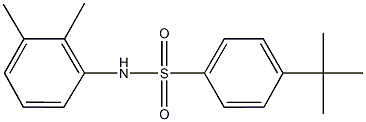 4-tert-butyl-N-(2,3-dimethylphenyl)benzenesulfonamide,723755-52-0,结构式