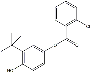 3-tert-butyl-4-hydroxyphenyl 2-chlorobenzoate Structure