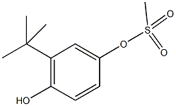 3-tert-butyl-4-hydroxyphenyl methanesulfonate 化学構造式