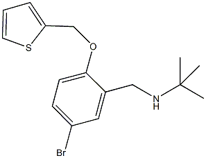 N-[5-bromo-2-(2-thienylmethoxy)benzyl]-2-methyl-2-propanamine Structure
