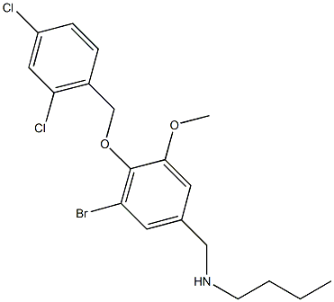 N-{3-bromo-4-[(2,4-dichlorobenzyl)oxy]-5-methoxybenzyl}-N-butylamine Structure