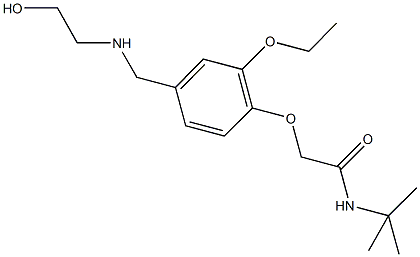 N-(tert-butyl)-2-(2-ethoxy-4-{[(2-hydroxyethyl)amino]methyl}phenoxy)acetamide Struktur