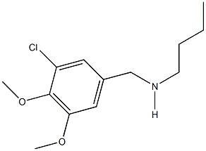 N-butyl-N-(3-chloro-4,5-dimethoxybenzyl)amine|