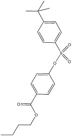 butyl 4-{[(4-tert-butylphenyl)sulfonyl]oxy}benzoate Struktur