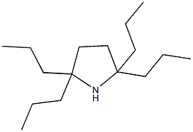 2,2,5,5-tetrapropylpyrrolidine 化学構造式