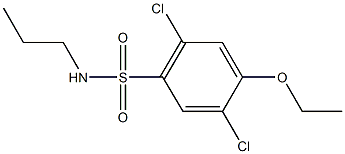 2,5-dichloro-4-ethoxy-N-propylbenzenesulfonamide|