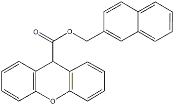 2-naphthylmethyl 9H-xanthene-9-carboxylate Struktur
