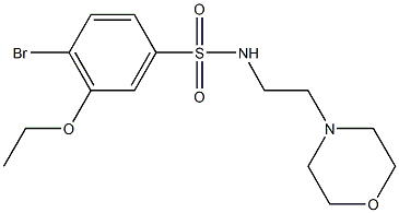 4-bromo-3-ethoxy-N-[2-(4-morpholinyl)ethyl]benzenesulfonamide|