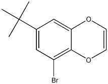 5-bromo-7-tert-butyl-1,4-benzodioxine Structure