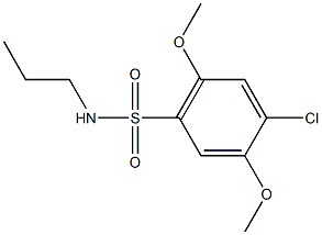 4-chloro-2,5-dimethoxy-N-propylbenzenesulfonamide,838849-73-3,结构式