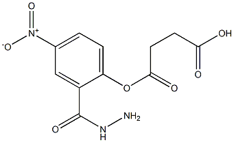 4-(2-{4-nitrophenyl}hydrazino)-4-oxobutanoic acid,83993-30-0,结构式