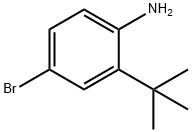 4-溴-2-叔丁基苯胺 结构式