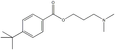 3-(dimethylamino)propyl 4-tert-butylbenzoate 化学構造式