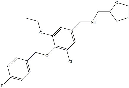 N-{3-chloro-5-ethoxy-4-[(4-fluorobenzyl)oxy]benzyl}-N-(tetrahydro-2-furanylmethyl)amine Structure