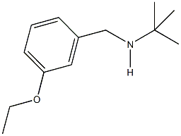 880803-97-4 N-(tert-butyl)-N-(3-ethoxybenzyl)amine