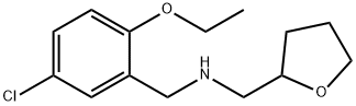 N-(5-chloro-2-ethoxybenzyl)-N-(tetrahydro-2-furanylmethyl)amine Structure