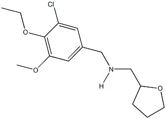 N-(3-chloro-4-ethoxy-5-methoxybenzyl)-N-(tetrahydro-2-furanylmethyl)amine Structure