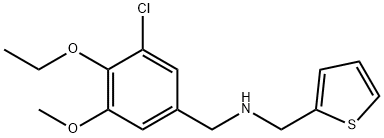 N-(3-chloro-4-ethoxy-5-methoxybenzyl)-N-(2-thienylmethyl)amine 结构式