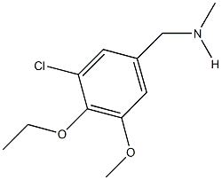 N-(3-chloro-4-ethoxy-5-methoxybenzyl)-N-methylamine Struktur