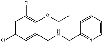N-(3,5-dichloro-2-ethoxybenzyl)-N-(2-pyridinylmethyl)amine Structure