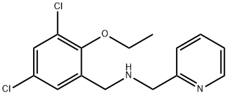 N-(3,5-dichloro-2-ethoxybenzyl)-N-(2-pyridinylmethyl)amine Struktur