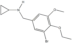 880812-75-9 N-(3-bromo-4-ethoxy-5-methoxybenzyl)-N-cyclopropylamine