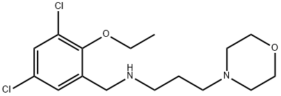 N-(3,5-dichloro-2-ethoxybenzyl)-N-[3-(4-morpholinyl)propyl]amine 化学構造式