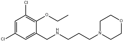 N-(3,5-dichloro-2-ethoxybenzyl)-N-[3-(4-morpholinyl)propyl]amine Struktur