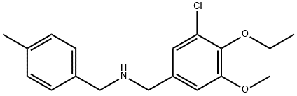 N-(3-chloro-4-ethoxy-5-methoxybenzyl)-N-(4-methylbenzyl)amine,881442-00-8,结构式