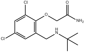 2-{2-[(tert-butylamino)methyl]-4,6-dichlorophenoxy}acetamide Struktur