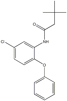 N-(5-chloro-2-phenoxyphenyl)-3,3-dimethylbutanamide,881598-97-6,结构式