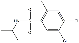 4,5-dichloro-N-isopropyl-2-methylbenzenesulfonamide Structure