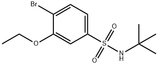 4-bromo-N-(tert-butyl)-3-ethoxybenzenesulfonamide 结构式