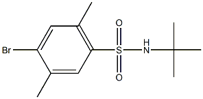 886125-55-9 4-bromo-N-(tert-butyl)-2,5-dimethylbenzenesulfonamide