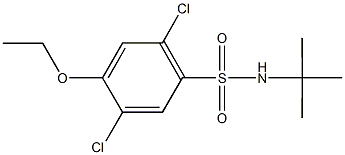 N-(tert-butyl)-2,5-dichloro-4-ethoxybenzenesulfonamide Structure