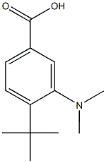4-tert-butyl-3-(dimethylamino)benzoic acid,89302-57-8,结构式