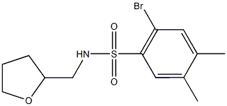 2-bromo-4,5-dimethyl-N-(tetrahydro-2-furanylmethyl)benzenesulfonamide Structure