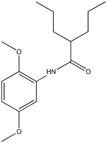N-(2,5-dimethoxyphenyl)-2-propylpentanamide Struktur