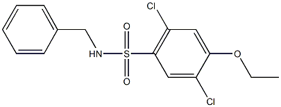 N-benzyl-2,5-dichloro-4-ethoxybenzenesulfonamide Struktur