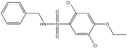 N-benzyl-2,5-dichloro-4-ethoxybenzenesulfonamide 结构式