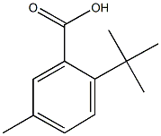 2-tert-butyl-5-methylbenzoic acid,904444-29-7,结构式