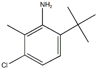 904444-33-3 6-tert-butyl-3-chloro-2-methylphenylamine