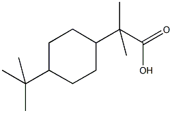 2-(4-tert-butylcyclohexyl)-2-methylpropanoic acid,904444-48-0,结构式