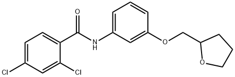 2,4-dichloro-N-[3-(tetrahydro-2-furanylmethoxy)phenyl]benzamide,909366-80-9,结构式