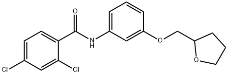 2,4-dichloro-N-[3-(tetrahydro-2-furanylmethoxy)phenyl]benzamide Structure