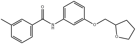 3-methyl-N-[3-(tetrahydro-2-furanylmethoxy)phenyl]benzamide Structure